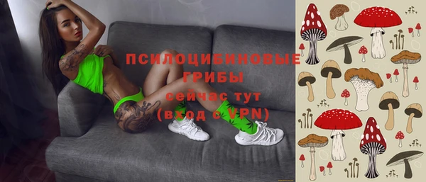 стафф Заволжск